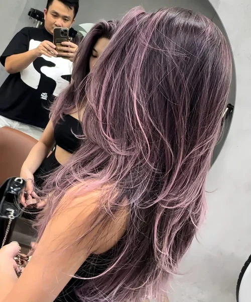 quality_restoration_20240403135004660